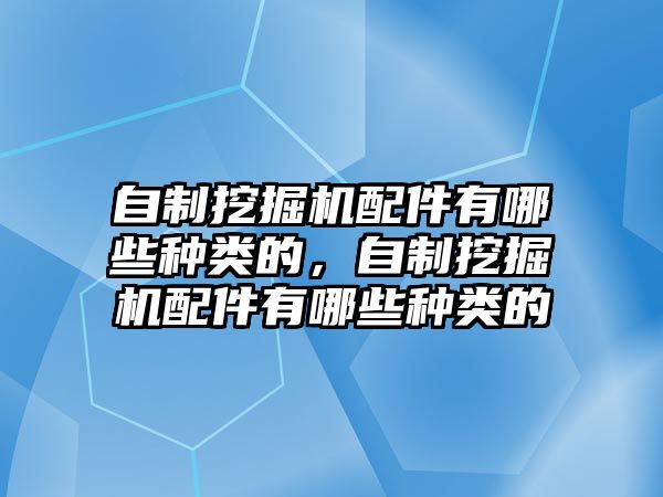 自制挖掘機(jī)配件有哪些種類的，自制挖掘機(jī)配件有哪些種類的