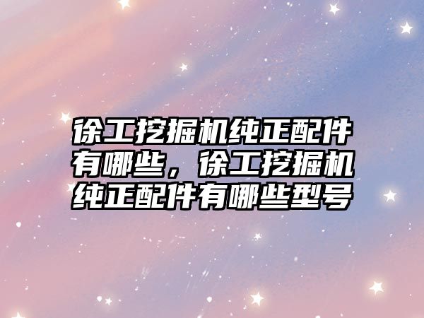 徐工挖掘機純正配件有哪些，徐工挖掘機純正配件有哪些型號