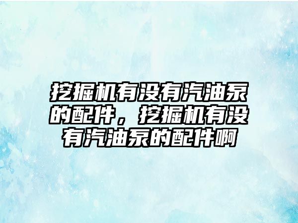 挖掘機有沒有汽油泵的配件，挖掘機有沒有汽油泵的配件啊