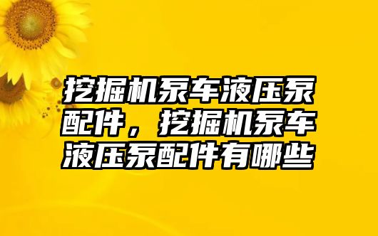 挖掘機泵車液壓泵配件，挖掘機泵車液壓泵配件有哪些