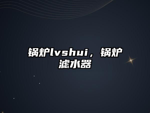 鍋爐lvshui，鍋爐濾水器