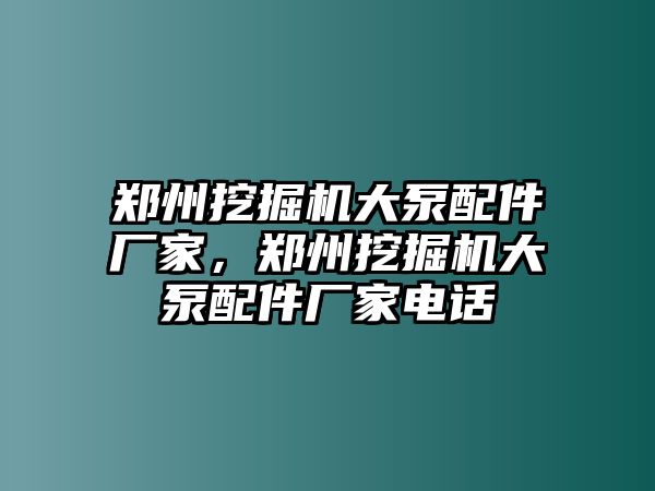 鄭州挖掘機大泵配件廠家，鄭州挖掘機大泵配件廠家電話