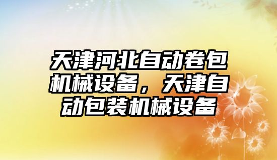 天津河北自動卷包機械設備，天津自動包裝機械設備