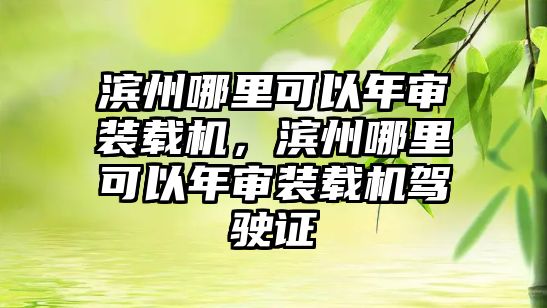 濱州哪里可以年審裝載機(jī)，濱州哪里可以年審裝載機(jī)駕駛證