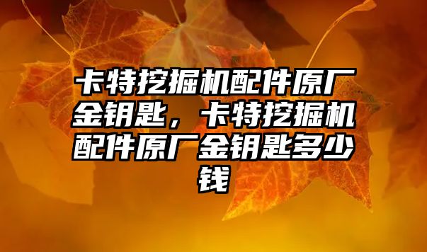 卡特挖掘機配件原廠金鑰匙，卡特挖掘機配件原廠金鑰匙多少錢