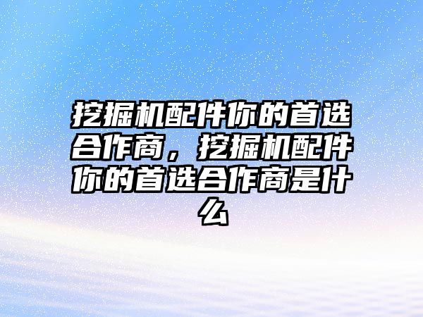 挖掘機配件你的首選合作商，挖掘機配件你的首選合作商是什么