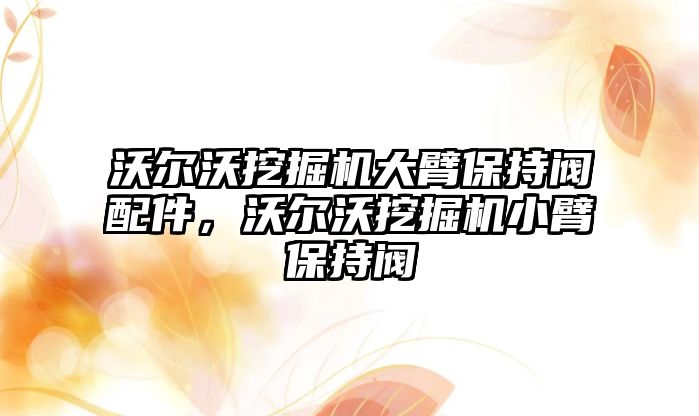 沃爾沃挖掘機大臂保持閥配件，沃爾沃挖掘機小臂保持閥