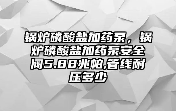 鍋爐磷酸鹽加藥泵，鍋爐磷酸鹽加藥泵安全閥5.88兆帕,管線耐壓多少