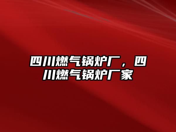 四川燃氣鍋爐廠，四川燃氣鍋爐廠家