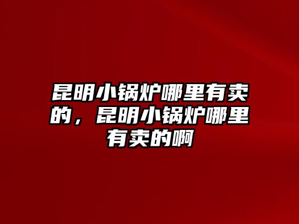 昆明小鍋爐哪里有賣的，昆明小鍋爐哪里有賣的啊