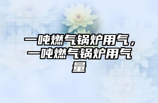 一噸燃?xì)忮仩t用氣，一噸燃?xì)忮仩t用氣量