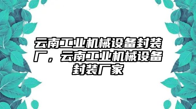 云南工業(yè)機(jī)械設(shè)備封裝廠，云南工業(yè)機(jī)械設(shè)備封裝廠家