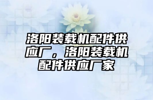 洛陽裝載機(jī)配件供應(yīng)廠，洛陽裝載機(jī)配件供應(yīng)廠家