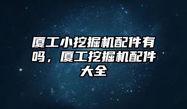 廈工小挖掘機(jī)配件有嗎，廈工挖掘機(jī)配件大全