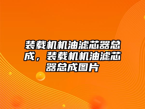 裝載機機油濾芯器總成，裝載機機油濾芯器總成圖片