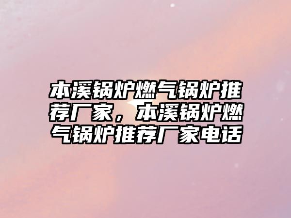 本溪鍋爐燃?xì)忮仩t推薦廠家，本溪鍋爐燃?xì)忮仩t推薦廠家電話(huà)