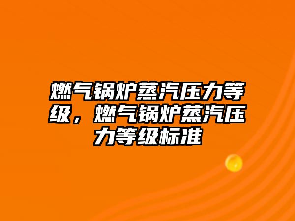 燃?xì)忮仩t蒸汽壓力等級，燃?xì)忮仩t蒸汽壓力等級標(biāo)準(zhǔn)