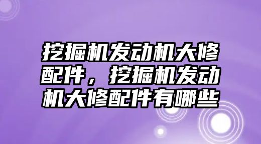 挖掘機發(fā)動機大修配件，挖掘機發(fā)動機大修配件有哪些