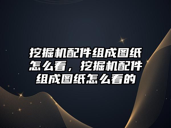 挖掘機配件組成圖紙怎么看，挖掘機配件組成圖紙怎么看的