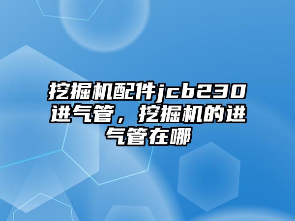 挖掘機配件jcb230進氣管，挖掘機的進氣管在哪