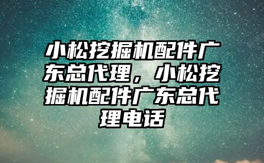 小松挖掘機配件廣東總代理，小松挖掘機配件廣東總代理電話