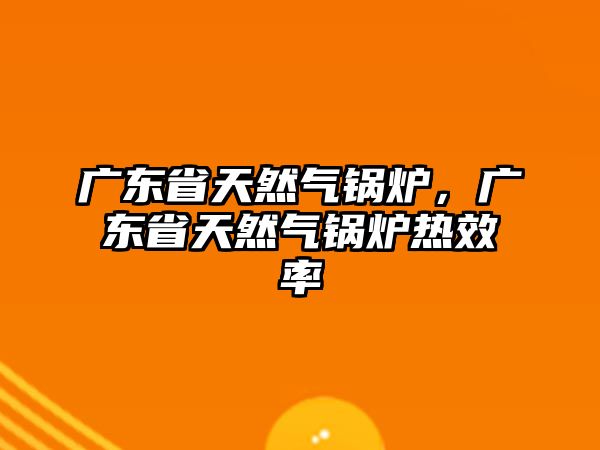 廣東省天然氣鍋爐，廣東省天然氣鍋爐熱效率