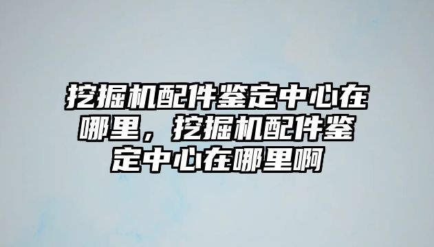 挖掘機配件鑒定中心在哪里，挖掘機配件鑒定中心在哪里啊