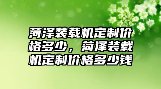 菏澤裝載機定制價格多少，菏澤裝載機定制價格多少錢