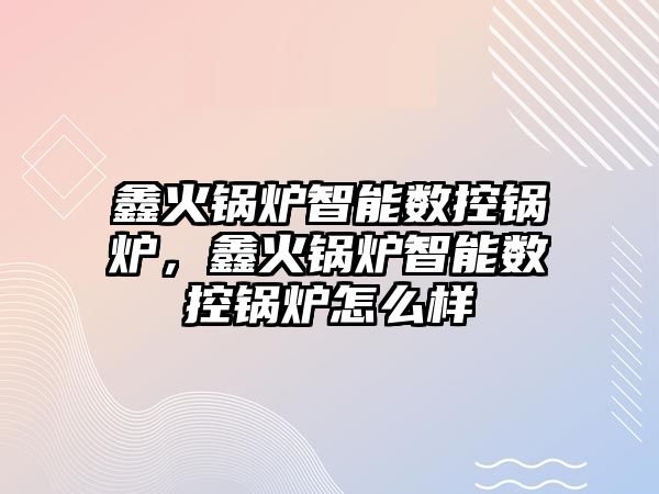 鑫火鍋爐智能數(shù)控鍋爐，鑫火鍋爐智能數(shù)控鍋爐怎么樣