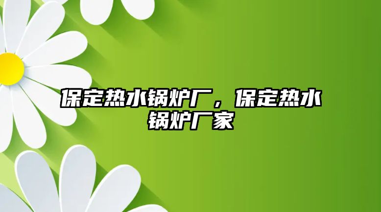 保定熱水鍋爐廠，保定熱水鍋爐廠家