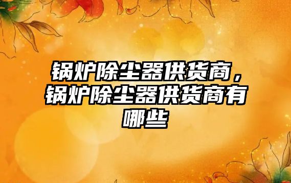 鍋爐除塵器供貨商，鍋爐除塵器供貨商有哪些