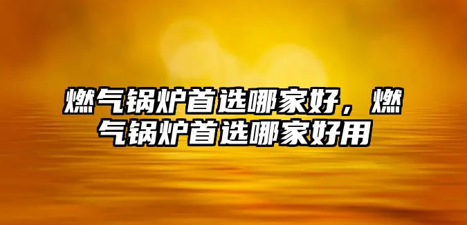 燃?xì)忮仩t首選哪家好，燃?xì)忮仩t首選哪家好用