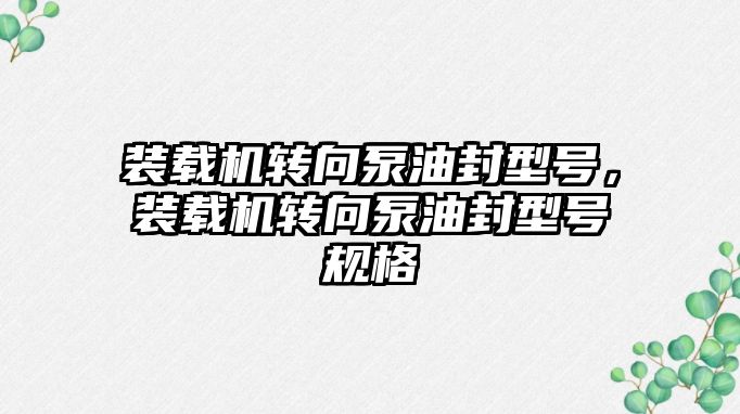 裝載機轉向泵油封型號，裝載機轉向泵油封型號規(guī)格