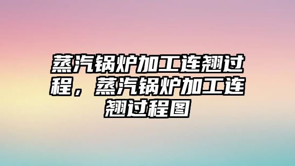 蒸汽鍋爐加工連翹過程，蒸汽鍋爐加工連翹過程圖