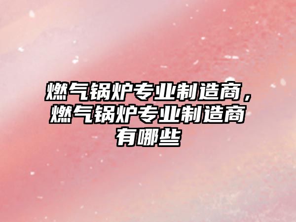 燃氣鍋爐專業(yè)制造商，燃氣鍋爐專業(yè)制造商有哪些