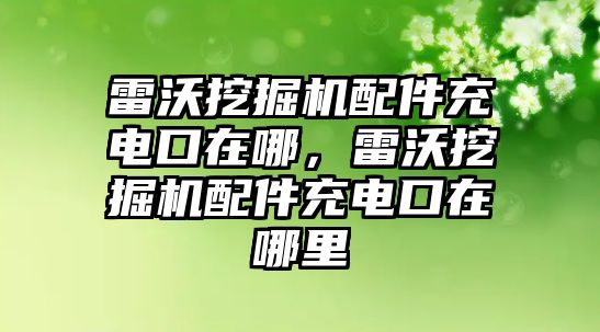 雷沃挖掘機(jī)配件充電口在哪，雷沃挖掘機(jī)配件充電口在哪里