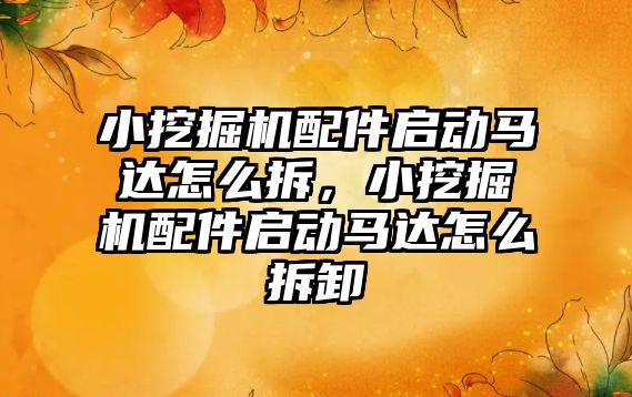 小挖掘機配件啟動馬達怎么拆，小挖掘機配件啟動馬達怎么拆卸