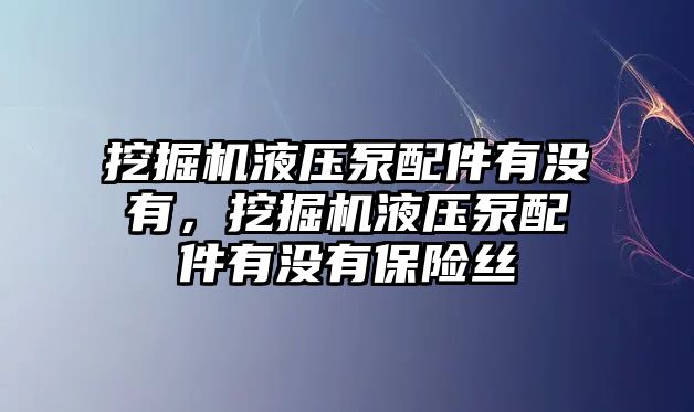 挖掘機液壓泵配件有沒有，挖掘機液壓泵配件有沒有保險絲