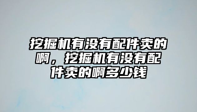 挖掘機有沒有配件賣的啊，挖掘機有沒有配件賣的啊多少錢