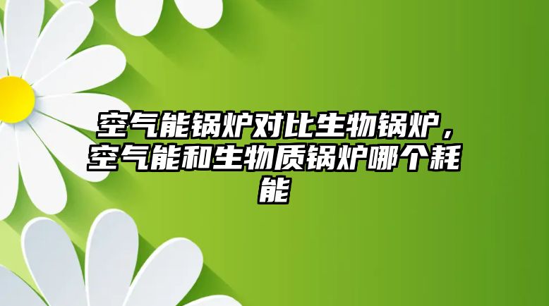 空氣能鍋爐對比生物鍋爐，空氣能和生物質鍋爐哪個耗能