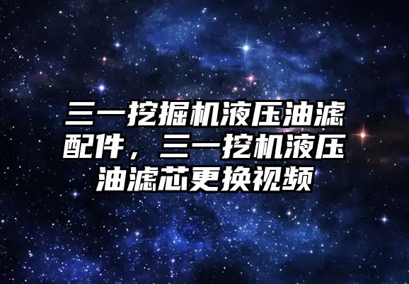 三一挖掘機(jī)液壓油濾配件，三一挖機(jī)液壓油濾芯更換視頻