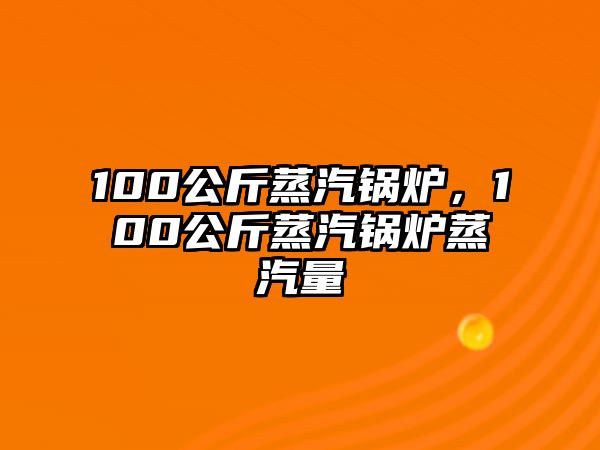 100公斤蒸汽鍋爐，100公斤蒸汽鍋爐蒸汽量