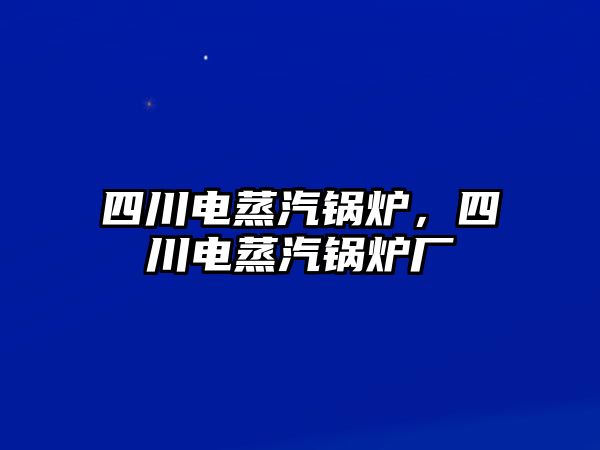 四川電蒸汽鍋爐，四川電蒸汽鍋爐廠