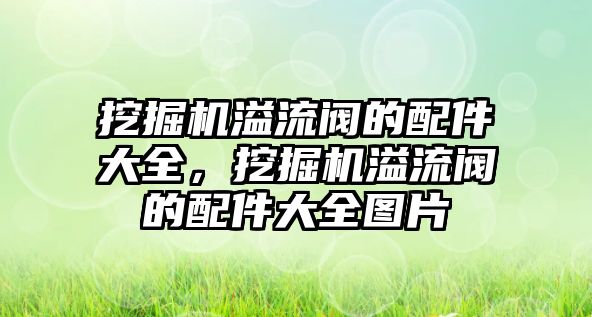 挖掘機(jī)溢流閥的配件大全，挖掘機(jī)溢流閥的配件大全圖片