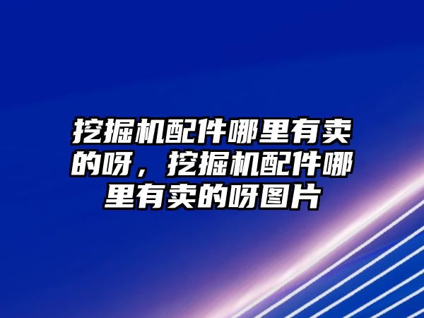 挖掘機(jī)配件哪里有賣的呀，挖掘機(jī)配件哪里有賣的呀圖片