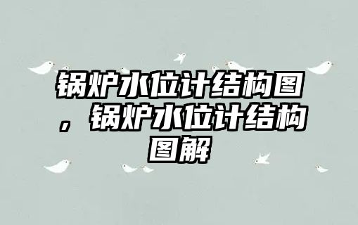 鍋爐水位計(jì)結(jié)構(gòu)圖，鍋爐水位計(jì)結(jié)構(gòu)圖解