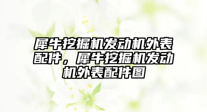 犀牛挖掘機發(fā)動機外表配件，犀牛挖掘機發(fā)動機外表配件圖