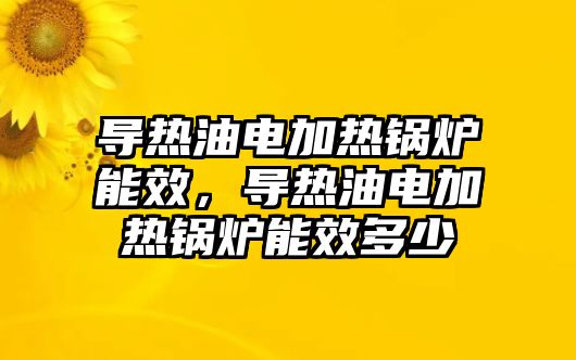 導(dǎo)熱油電加熱鍋爐能效，導(dǎo)熱油電加熱鍋爐能效多少