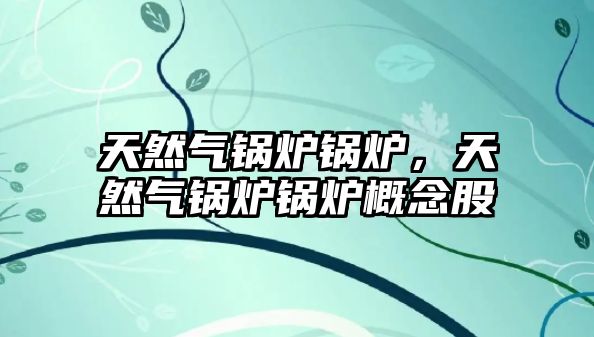 天然氣鍋爐鍋爐，天然氣鍋爐鍋爐概念股