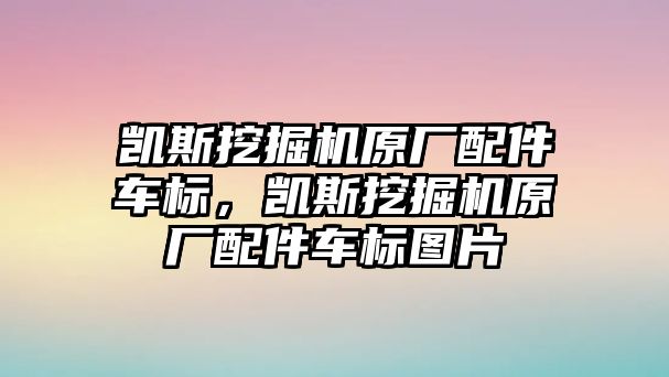 凱斯挖掘機(jī)原廠配件車標(biāo)，凱斯挖掘機(jī)原廠配件車標(biāo)圖片